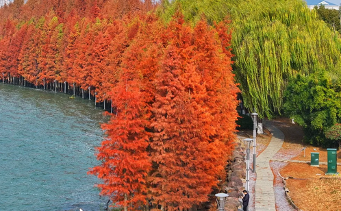 http://www.polle.com.cn/szgyyq/jsdt/202502/4d9d20e72c7d425cada95f797a1e160f/images/98a21992ddb44b309b353f6216cb0598.png
